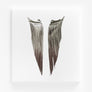 PORTO CERVO EARRINGS SILVER